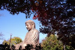 �{�H�҂͎R�c���g���E�㓡�L�ܘY��""