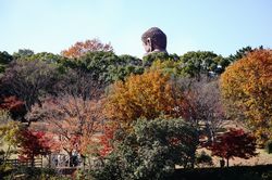 ��p���s�ςł�