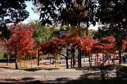 �g�����L��