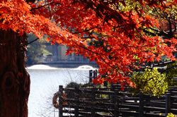 ���J���r