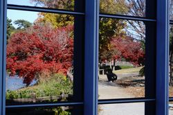 �K���X���݂�