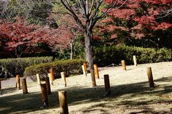 �V�|����