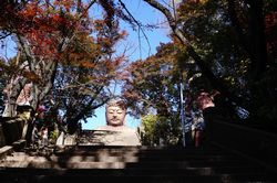 �K�i�����ƌ����Ă���啧�l