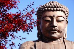 3�N��Ɋ���